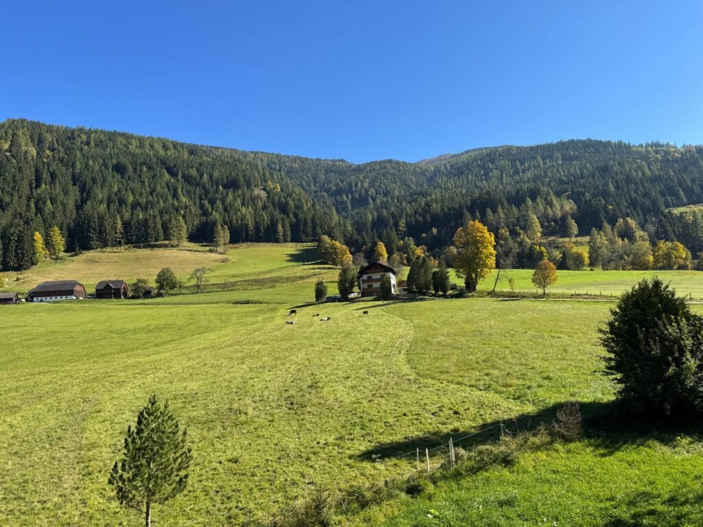 Apartment BergWiese 225 in Donnersbachwald: Blick ins Tal