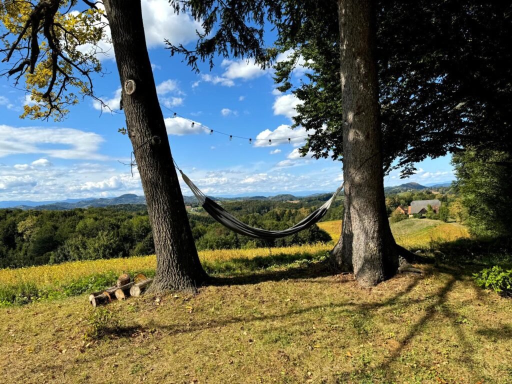 Ferienhaus Panorama in Gamlitz: Hängematte mit Blick über die Hügel