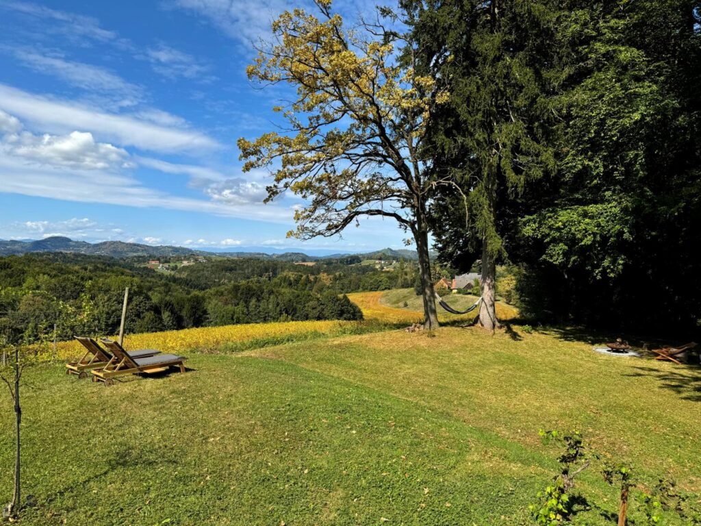 Ferienhaus Panorama in Gamlitz: Wiese mit Weitblick